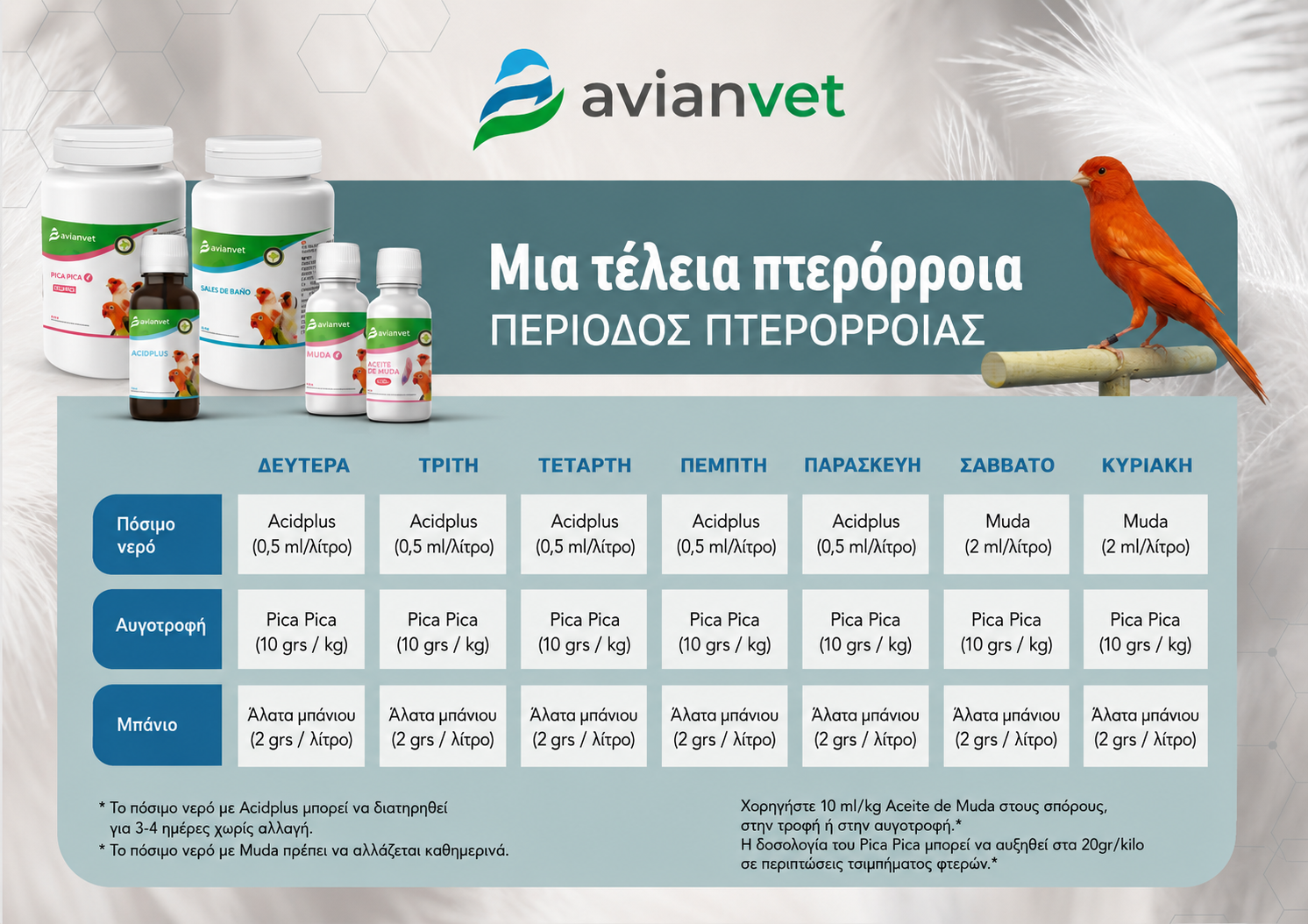 Πρόγραμμα πτερόρροιας καναρινιών Avianvet